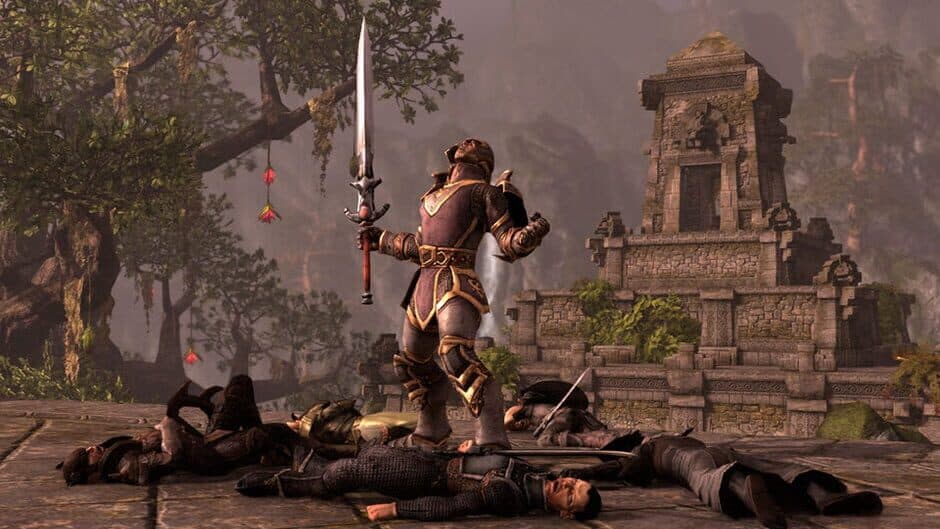 The Elder Scrolls Online screenshot 2
