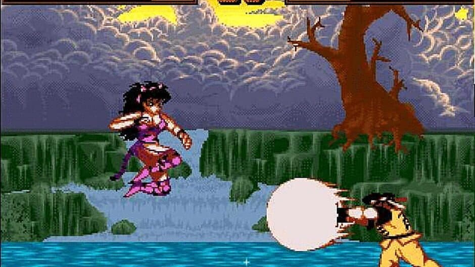 Shadow Fighter screenshot 3