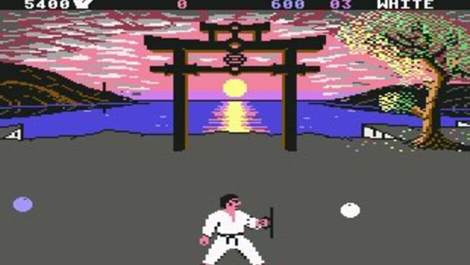 International Karate + screenshot 3