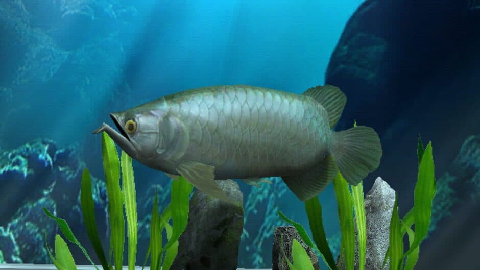 My Aquarium screenshot 1