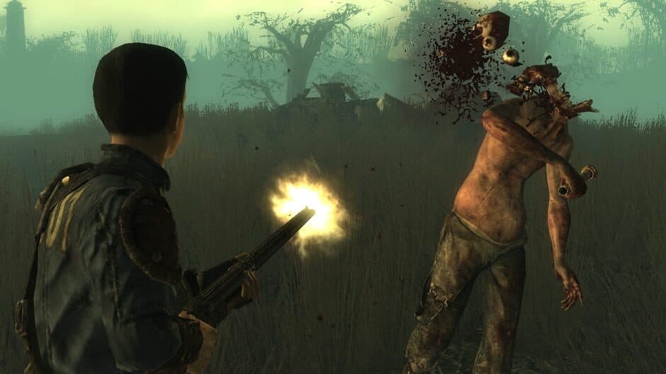 Fallout 3: Point Lookout screenshot 6