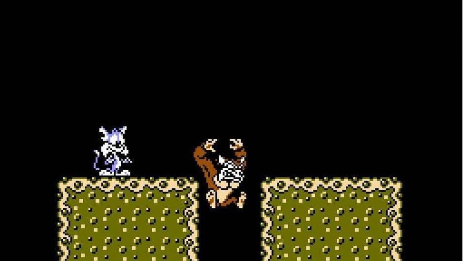 Tiny Toon Adventures screenshot 3