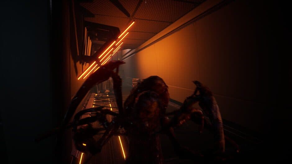 Scicry screenshot 6