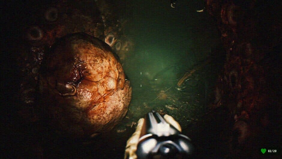 Gutted: Infested Crypts screenshot 5