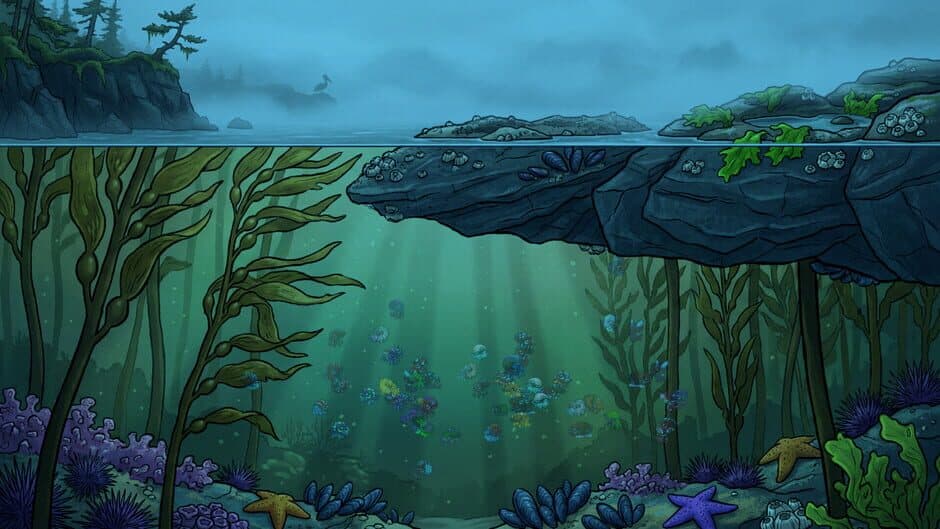 Molluscarium screenshot 5