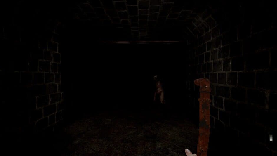 Proyecto Huemul screenshot 3