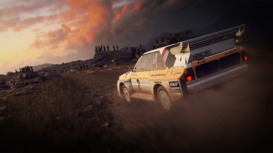 Dirt Rally 2.0 screenshot 3