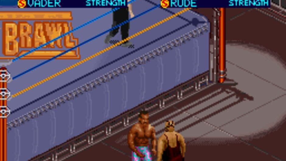 WCW SuperBrawl Wrestling screenshot 2