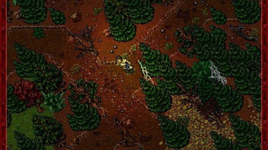 Tibia screenshot 4
