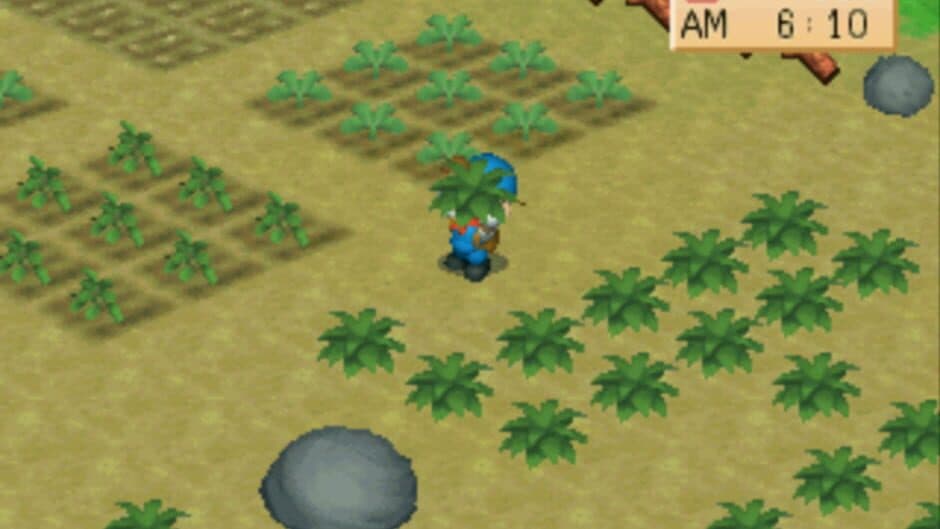 Harvest Moon: Back to Nature screenshot 2