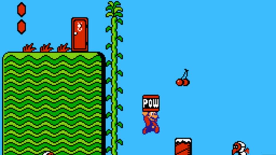 Super Mario Bros. 2 screenshot 2