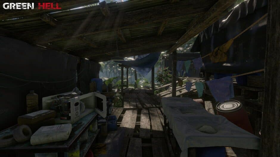 Green Hell screenshot 2