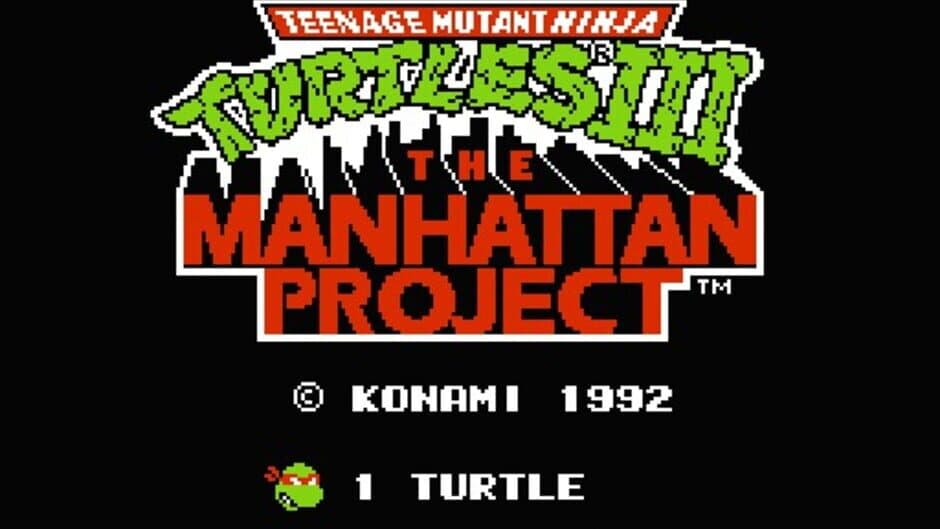 Teenage Mutant Ninja Turtles III: The Manhattan Project screenshot 2