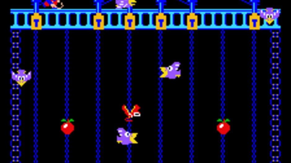 Donkey Kong Junior screenshot 3