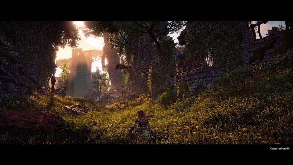 Horizon Zero Dawn: Complete Edition screenshot 2