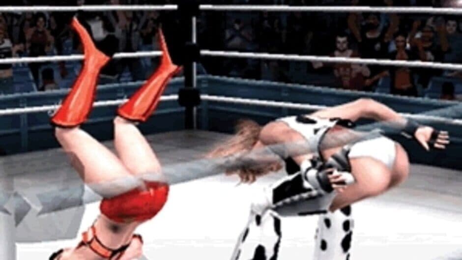 Rumble Roses screenshot 3