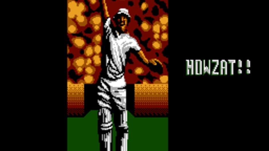 International Cricket screenshot 2