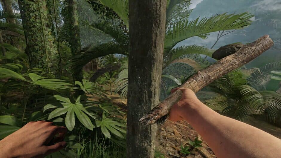 Green Hell VR screenshot 3