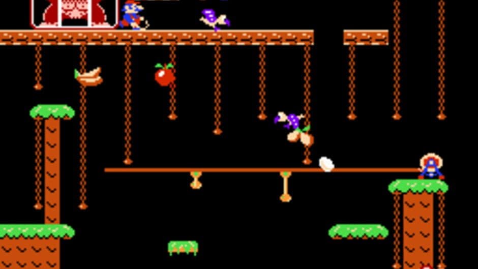 Donkey Kong Jr. screenshot 3