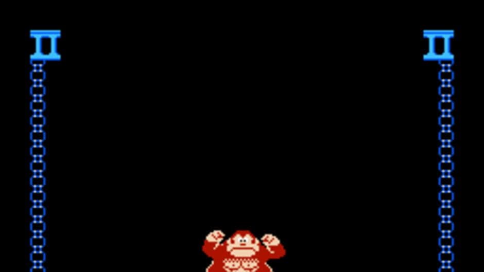 Donkey Kong Jr. screenshot 5