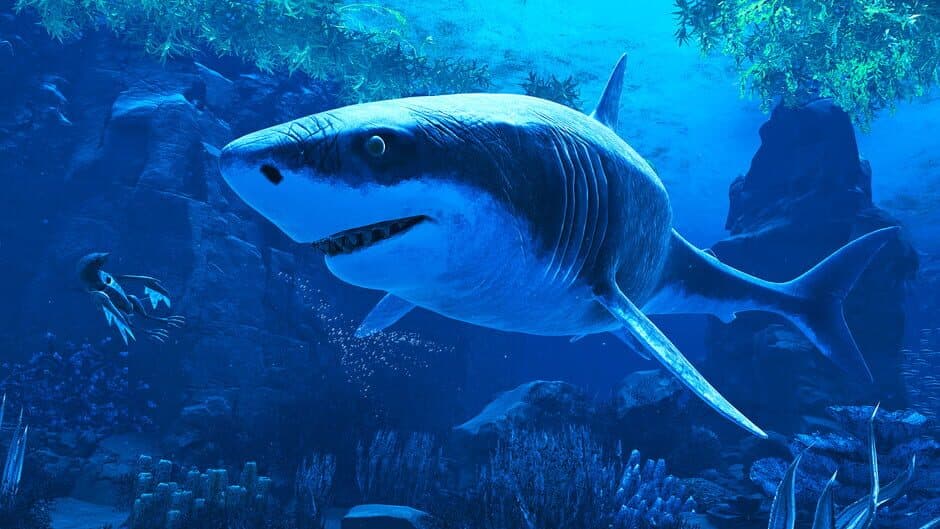 Glaciered screenshot 6