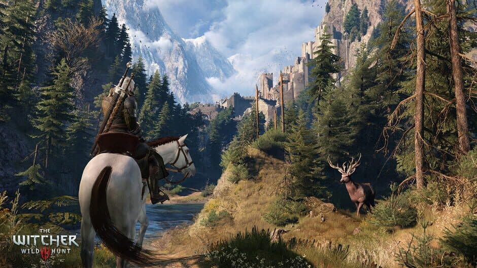 The Witcher 3: Wild Hunt screenshot 5