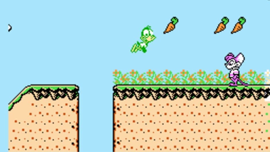 Tiny Toon Adventures screenshot 2