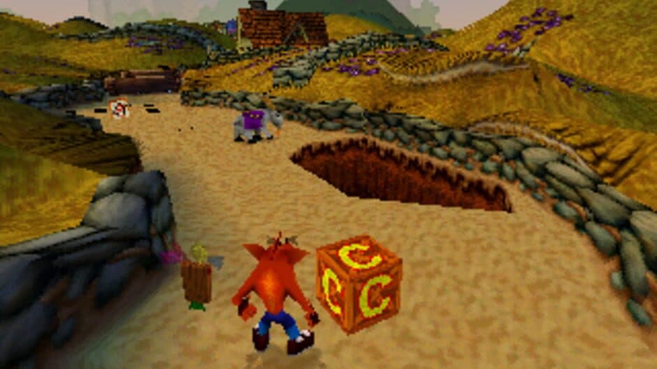 Crash Bandicoot: Warped screenshot 3