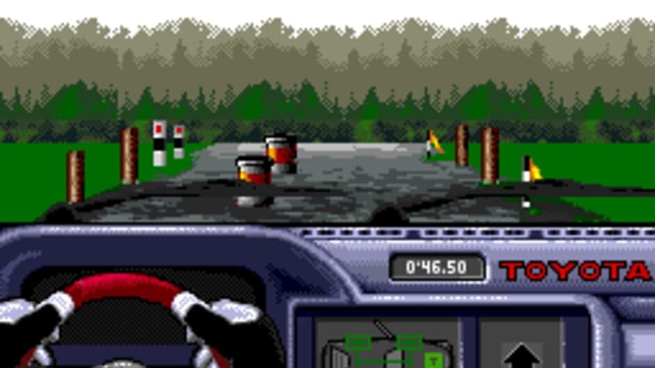 Rally: The Final Round of the World Rally Championship screenshot 4