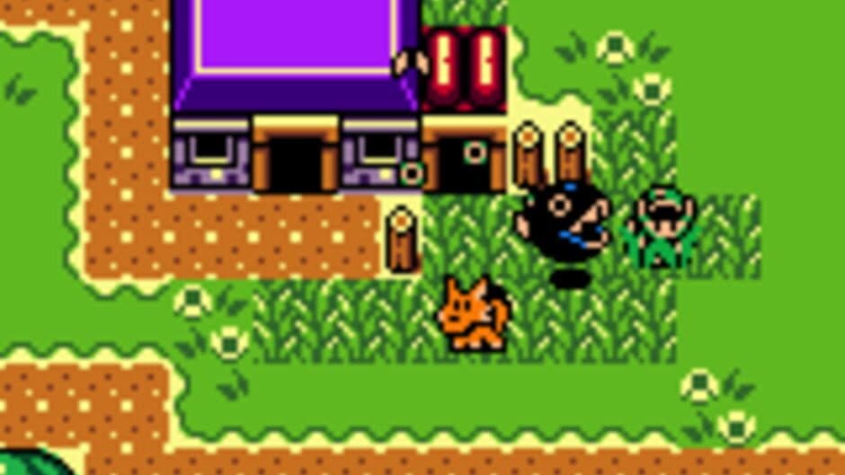 The Legend of Zelda: Link's Awakening DX screenshot 3