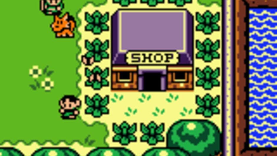 The Legend of Zelda: Link's Awakening DX screenshot 3