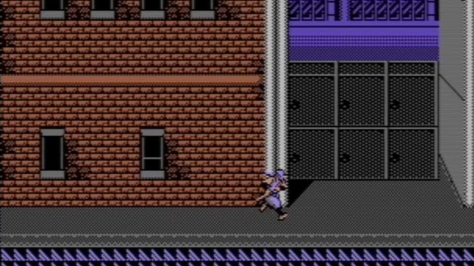 Shadow Warriors screenshot 1