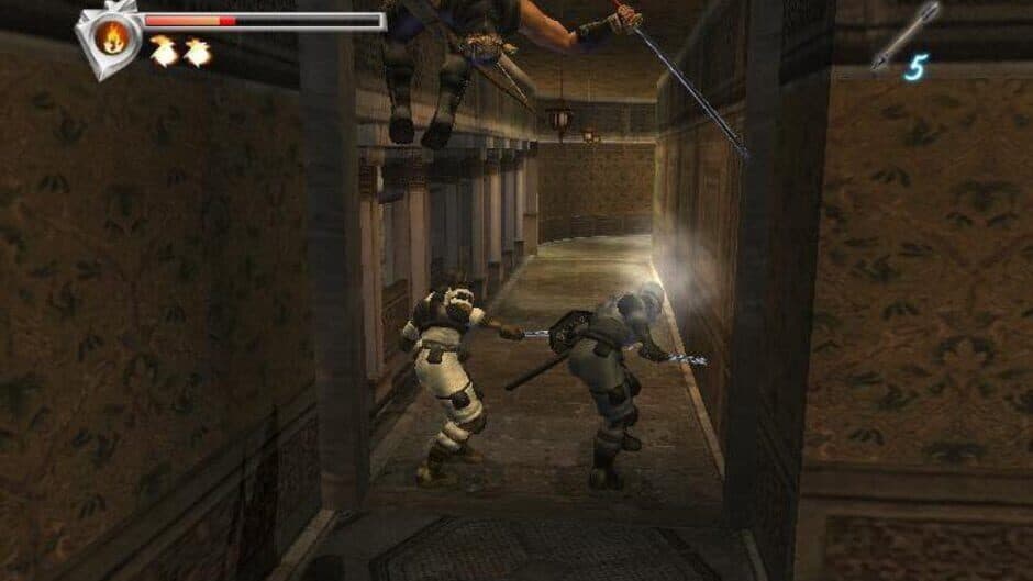 Ninja Gaiden screenshot 4