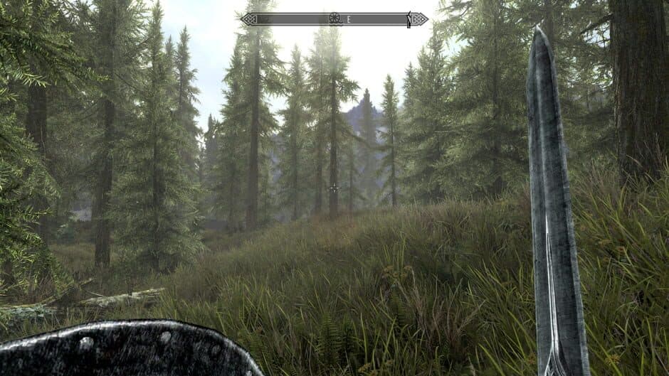 The Elder Scrolls V: Skyrim screenshot 6