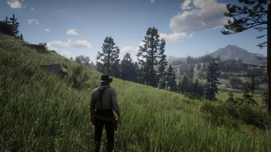 Red Dead Redemption 2 screenshot 5