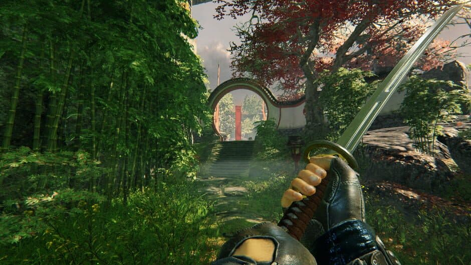 Shadow Warrior screenshot 6