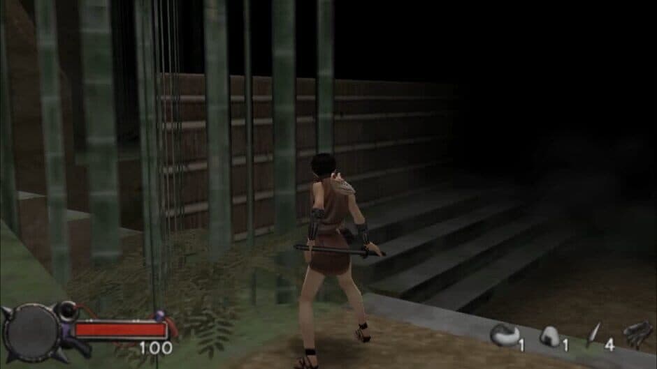 Tenchu: Time Of The Assassins screenshot 3