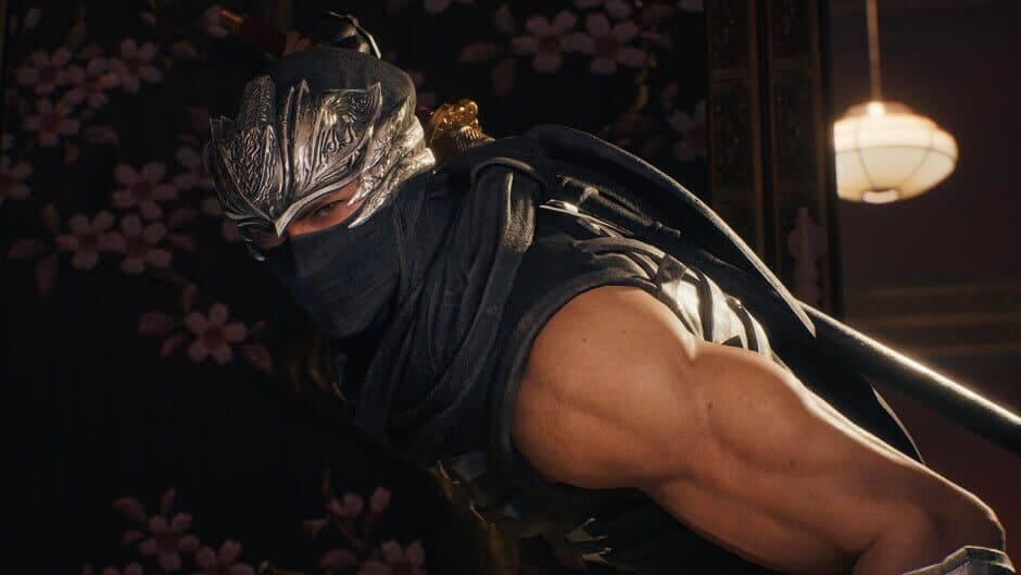 Ninja Gaiden II Black screenshot 4