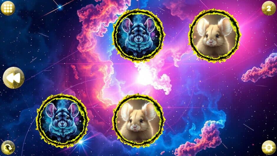 Space Memory: Chinchillas screenshot 1