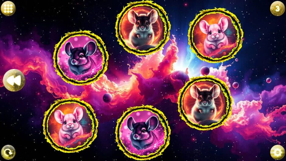 Space Memory: Chinchillas screenshot 2