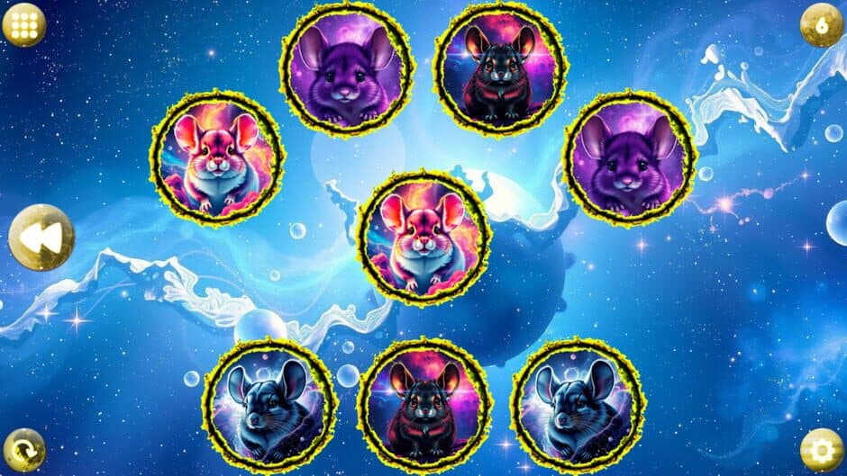 Space Memory: Chinchillas screenshot 3