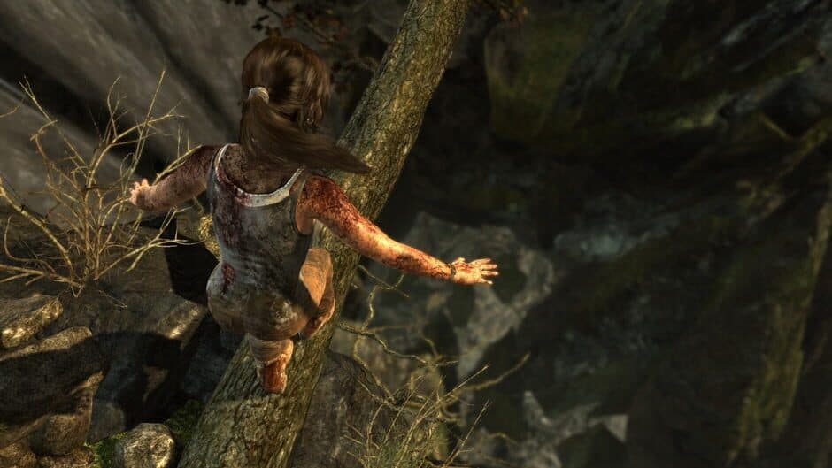 Tomb Raider: Definitive Edition screenshot 4