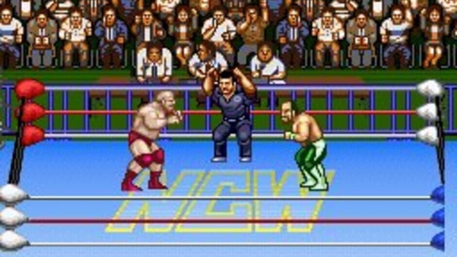 Natsume Championship Wrestling screenshot 3