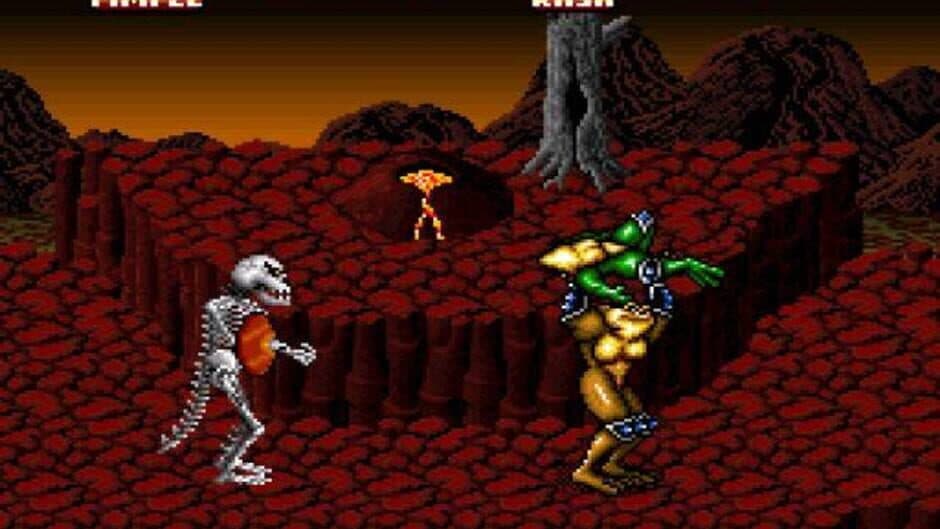 Battletoads In Battlemaniacs