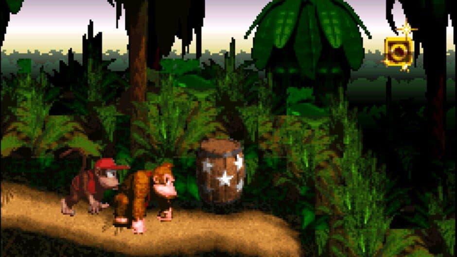 Donkey Kong Country