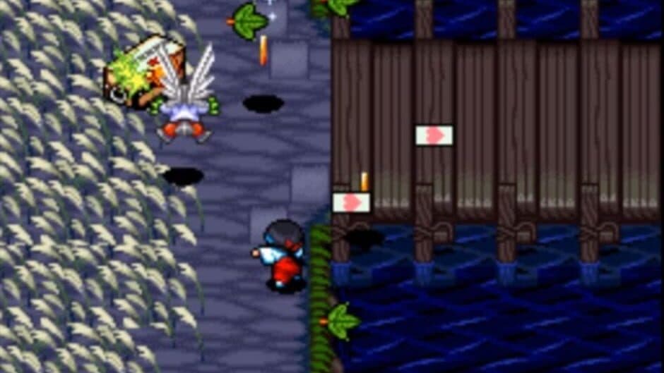 Pocky & Rocky 2 screenshot 2
