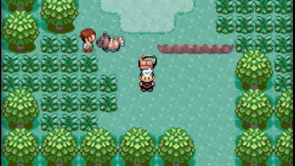 Pokémon Emerald Version screenshot 2