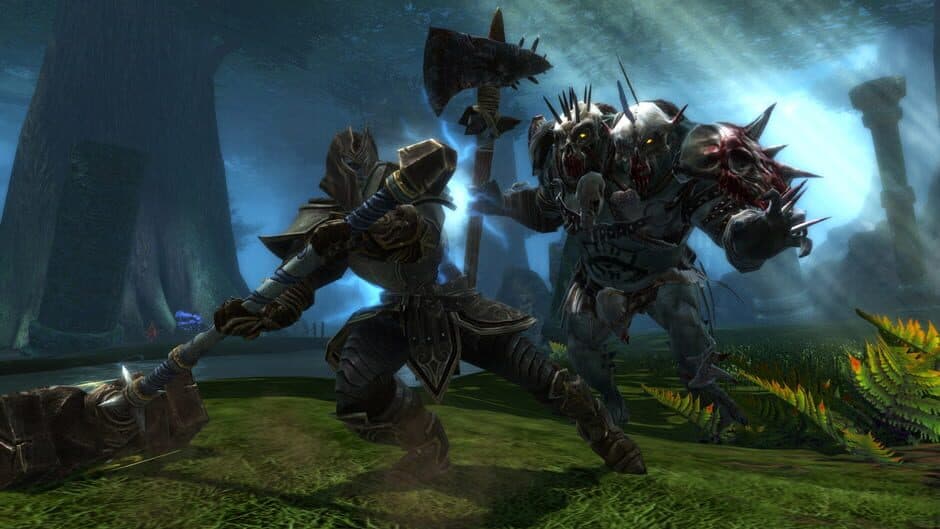 Kingdoms of Amalur: Reckoning screenshot 3