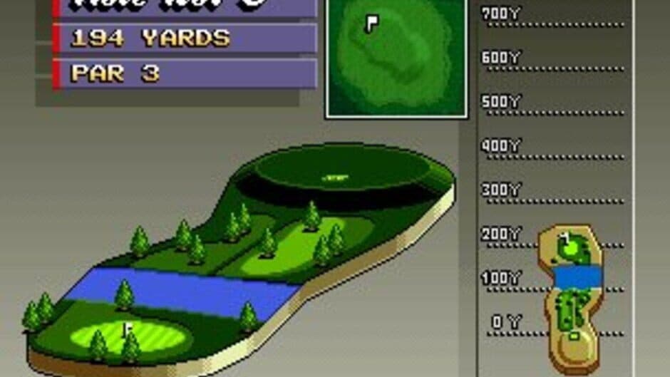 Neo Turf Masters screenshot 6