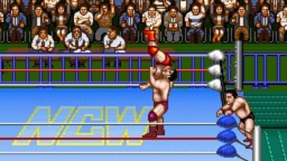 Natsume Championship Wrestling screenshot 1